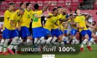 แทงบอล รับฟรี 100%